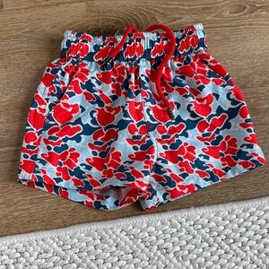 Red and Blue Patterned Shorts/swim